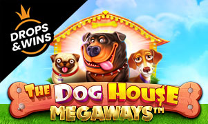 The Dog House The Dog House